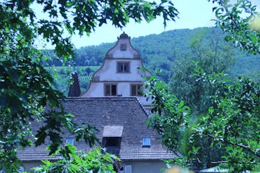 Villages of Barr full day tour- medieval castle and interactive workshop with wine tasting